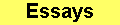ESSAYS