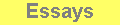 ESSAYS